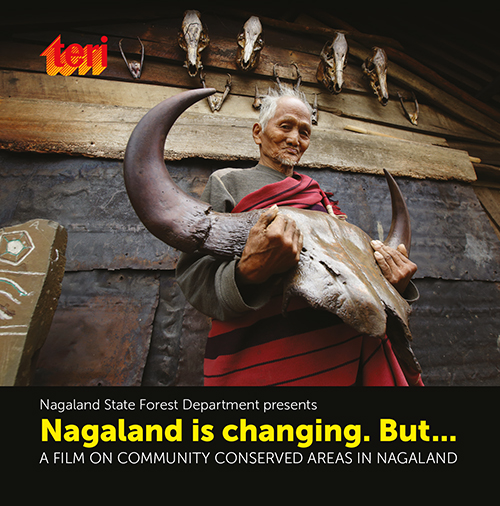 Nagaland is changing